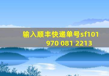 输入顺丰快递单号sf101 970 081 2213